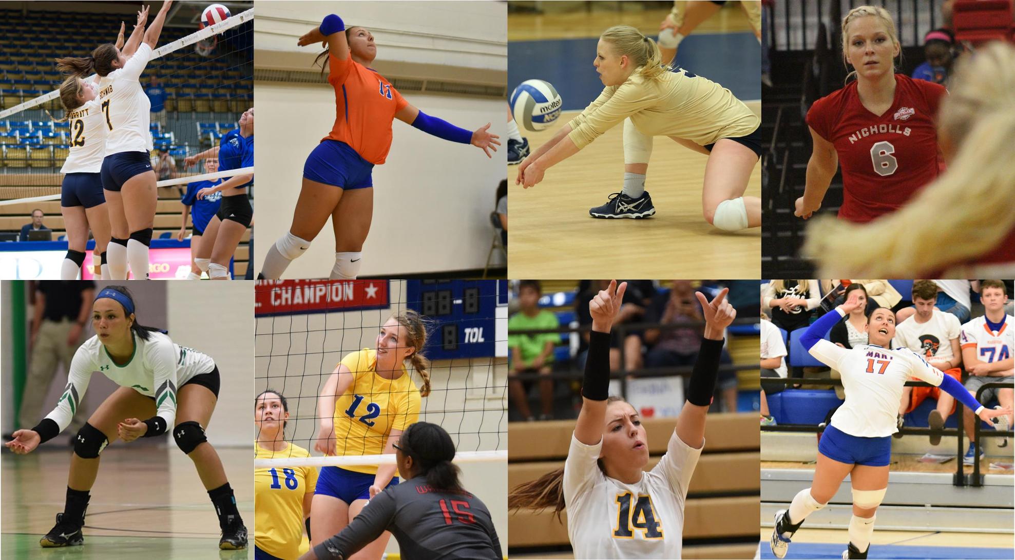 Eight Former Lady Saints Volleyball Players Excelling at the Next Level