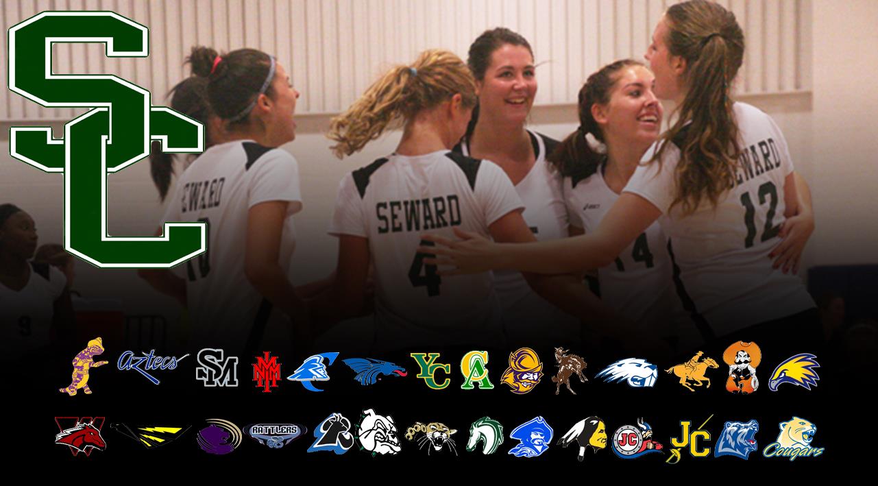 Lady Saints Volleyball Releases 2015 Schedule