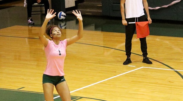 No. 5 volleyball extend conference winning streak to 18 with sweep of Pratt